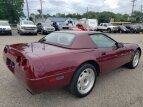 Thumbnail Photo 1 for 1993 Chevrolet Corvette